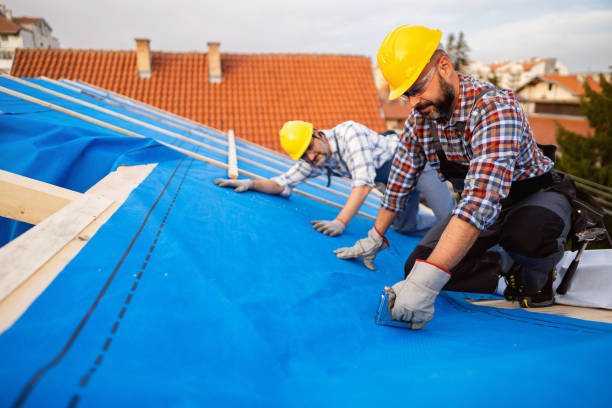 Best Roof Waterproofing  in Hanapepe, HI